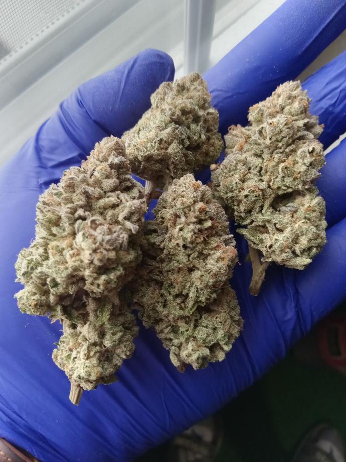 Cherry Sundae